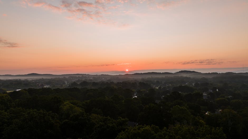 A stunning aerial view of the sunset over lush trees in Cleveland, TN.