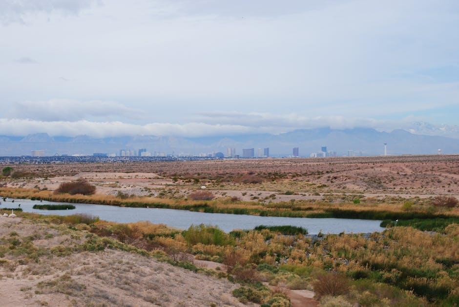 Scenic desert landscape with skyline view in Henderson, NV, USA, featuring desert flora and clouds.